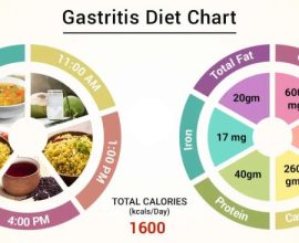 Ernährung bei gastritis rezepte